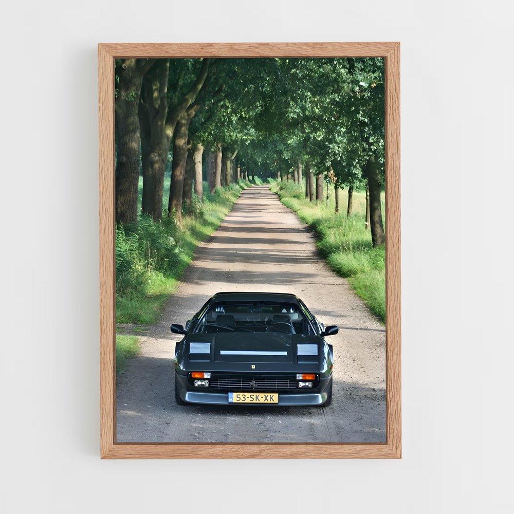 Poster Route de la Ferrari (vue 4)